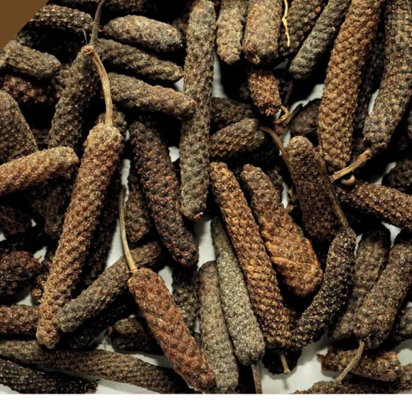 Long_Pepper_Pippali_Mangalore_Spice 580x580