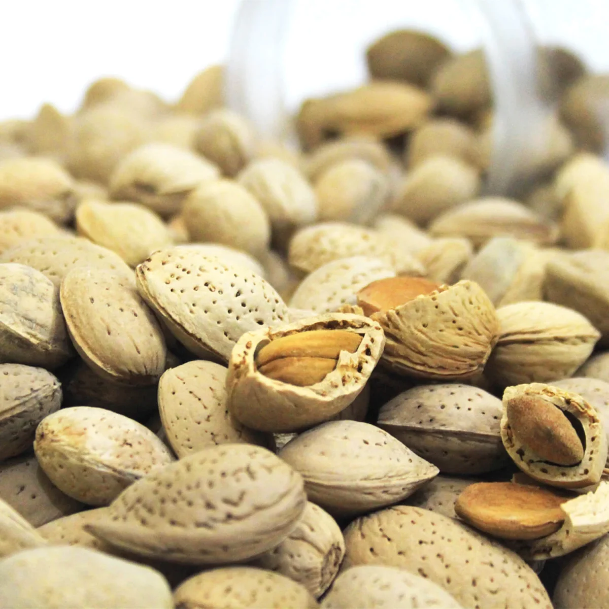 Gurbandi Almonds – With Shells | Desi Badaam in Shell - Image 1