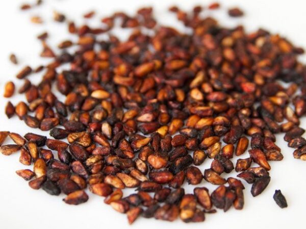 Premium Anar Dana – Sun-Dried Pomegranate Seeds for Culinary & Health Use