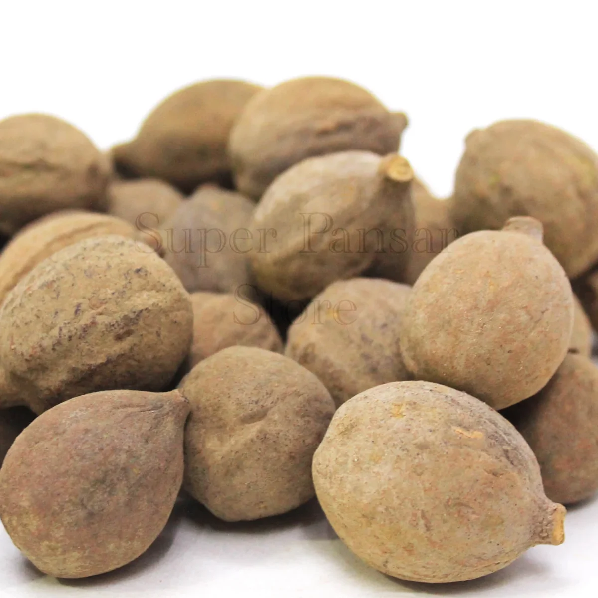 Baherry / بہیڑے | Terminalia bellirica | - Image 1