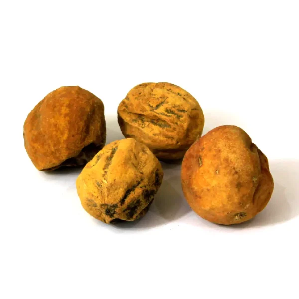 Bitter Apple | Kour Tumma | کوڑ تماں | تماں