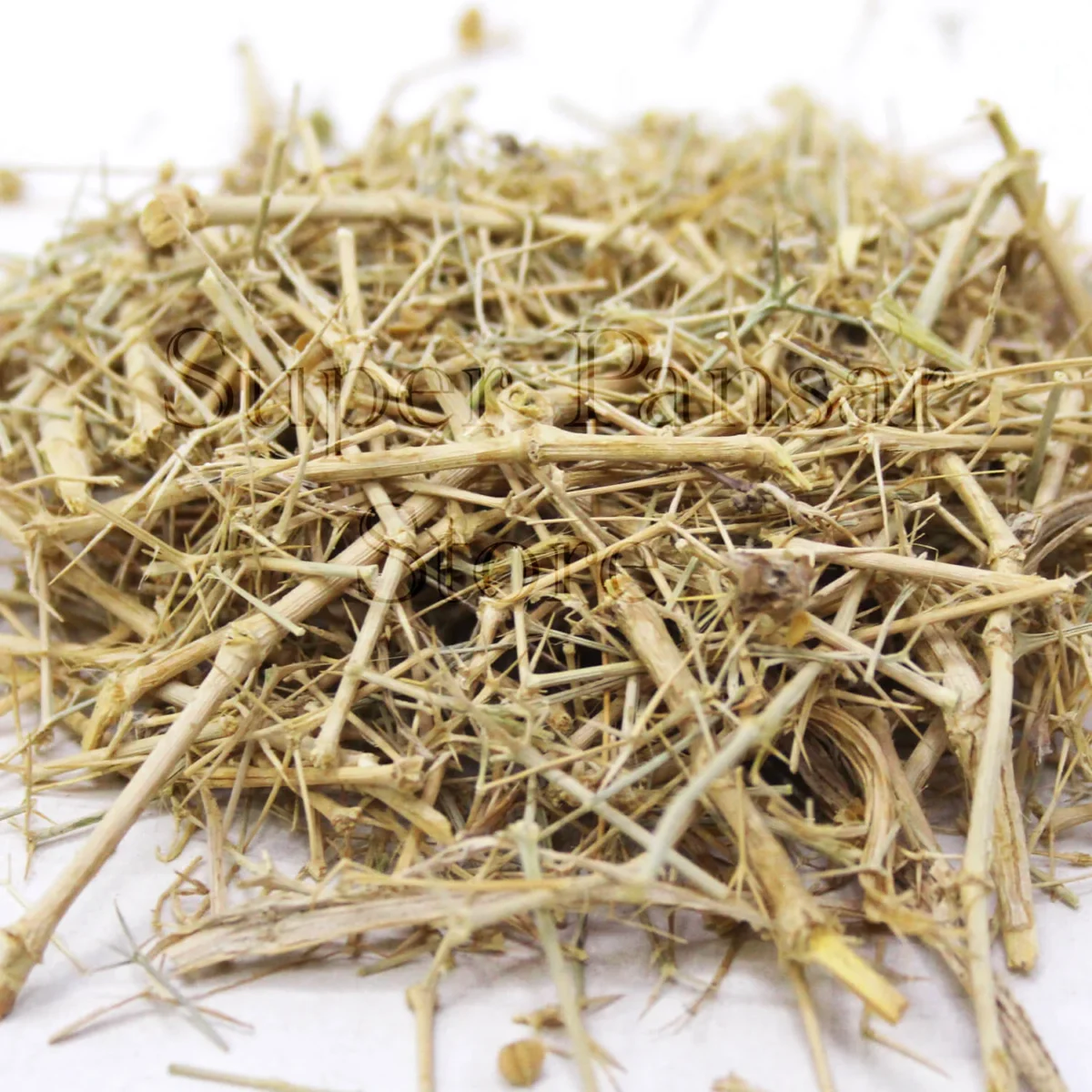 Fagonia Arabica | Dhamasa Booti | Suchi Booti | / دھماسہ بوٹی - Image 1