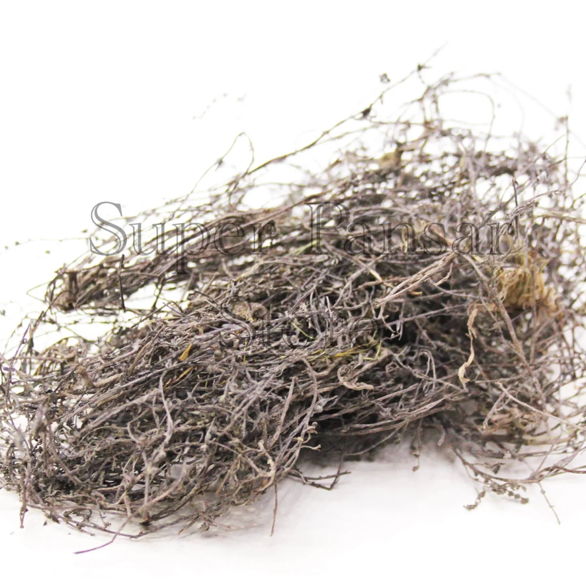 Gorakh Paan/ گورکھ پان - Image 1