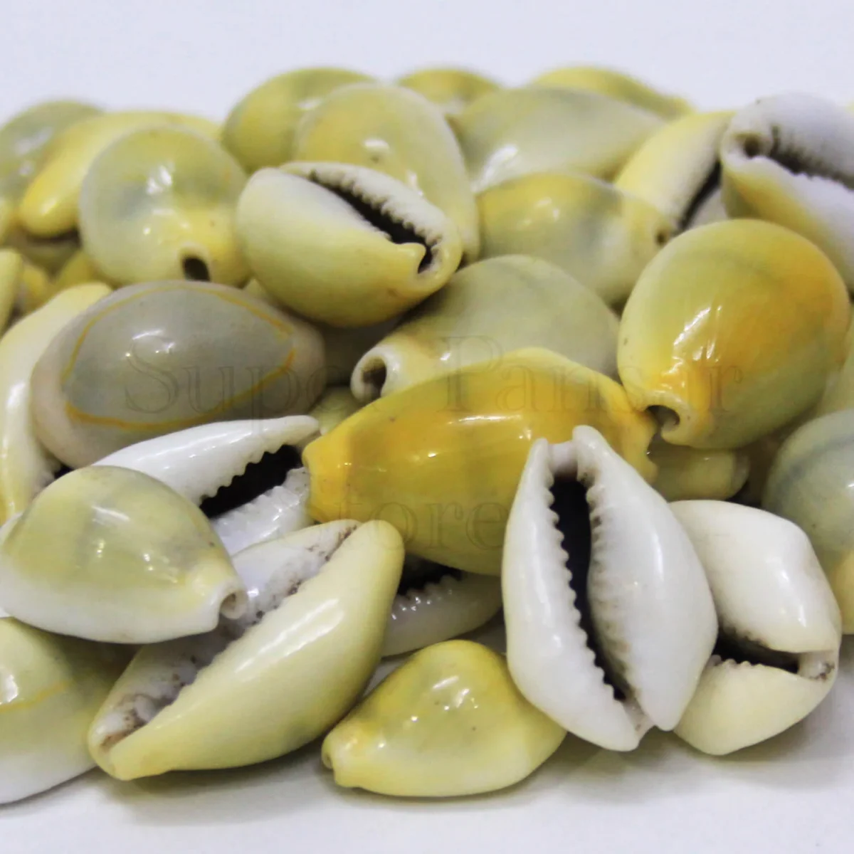 Kodi Zard | Arkam Yellow | Monetaria Moneta | کوڈی ذرد - Image 1