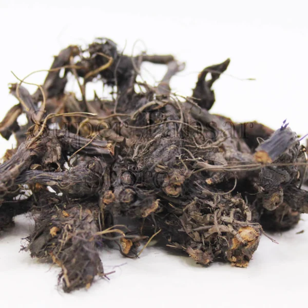 Nagarmotha | Cypriol Plant / ناگرموتھا
