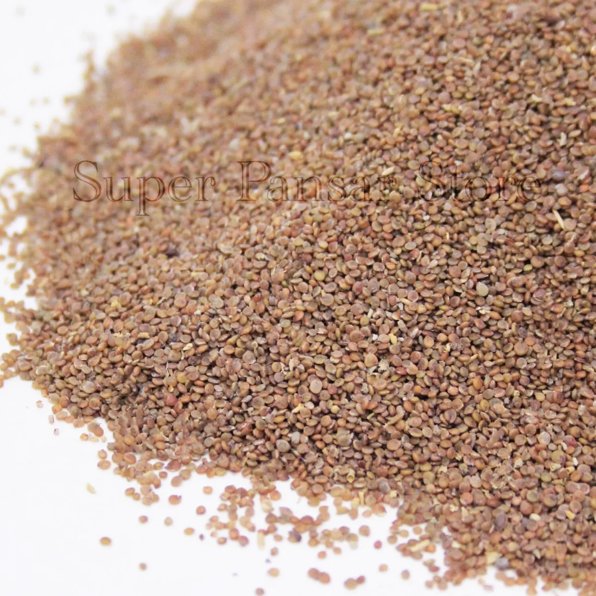 Todri Safed | Tudri Safed Beej | Lepidium iberis | تودری سفید - Image 1
