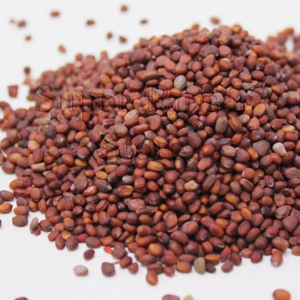 Mooli k beej /تخم مولی