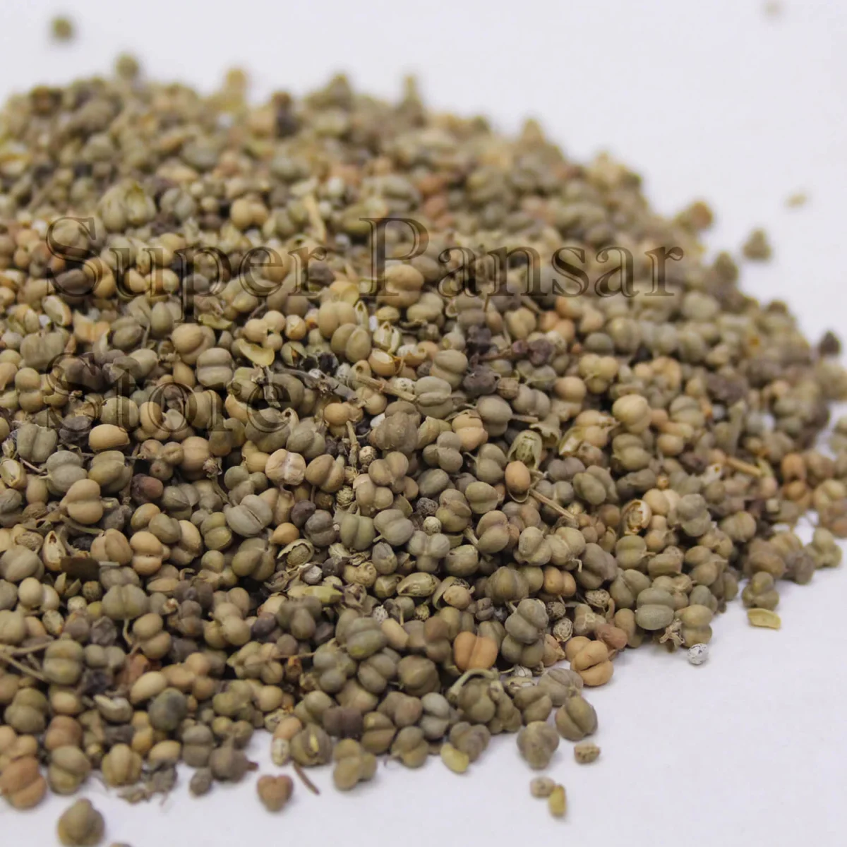 Hemp Seed | Tukham Qanab | | تخم قنب - Image 1