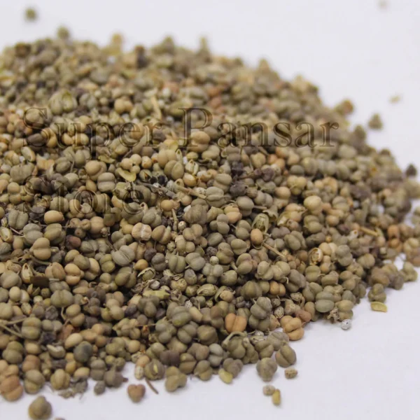 Hemp Seed | Tukham Qanab | | تخم قنب