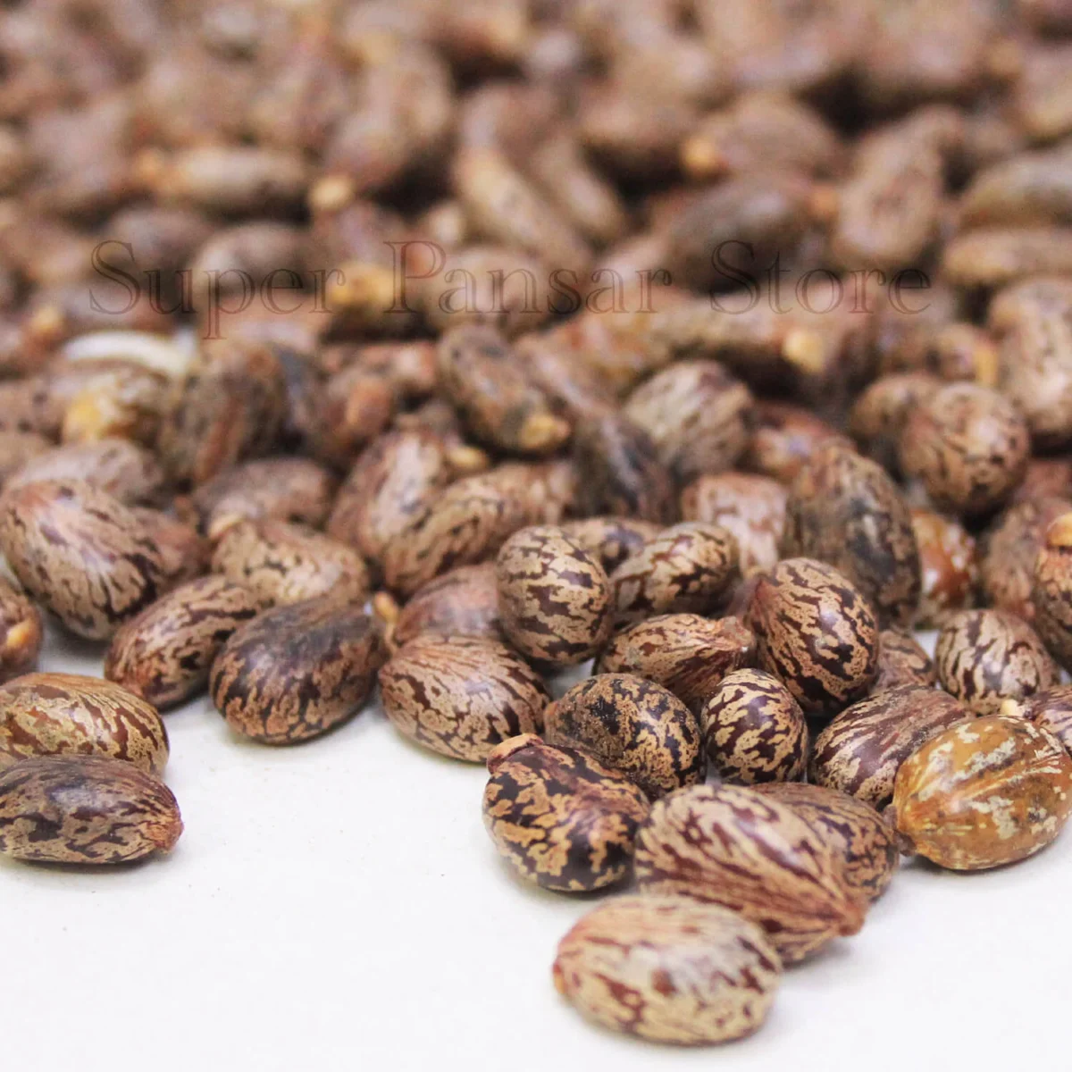ricinus/تخم ارنڈ - Image 1