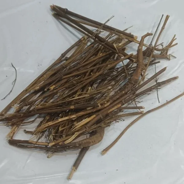 Charaita Nepali /چرائتہ نیپالی