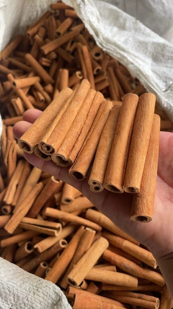 Cinnamon Stick | Daar Cheeni |Sri Lanka – Ceylon | 100% Original | دارچینی | سری لنکا – سیلون |