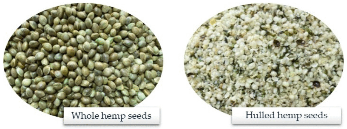 Hemp Seeds | بھنگ کے بیج | - Image 1
