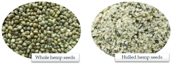 Hemp Seeds | بھنگ کے بیج |