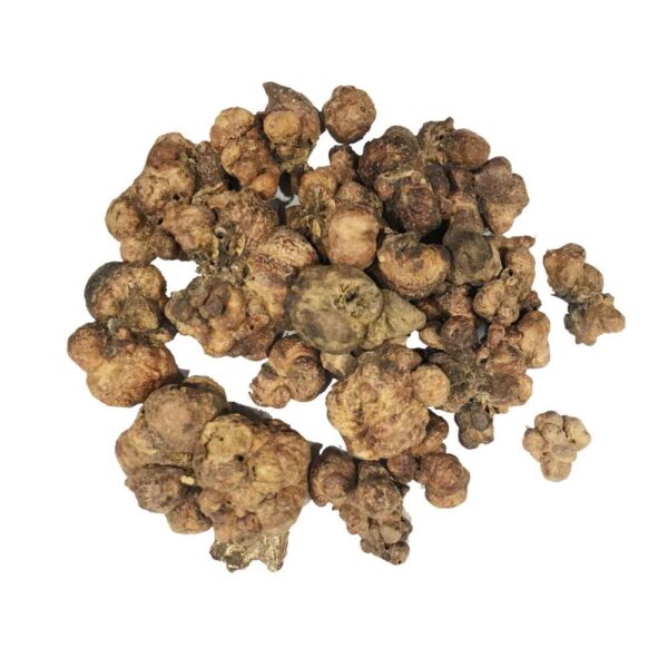 Mai Khurd/مائیں خورد