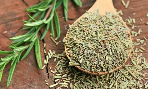 Rosemary | Premium Quality | روزمیری کے پتے