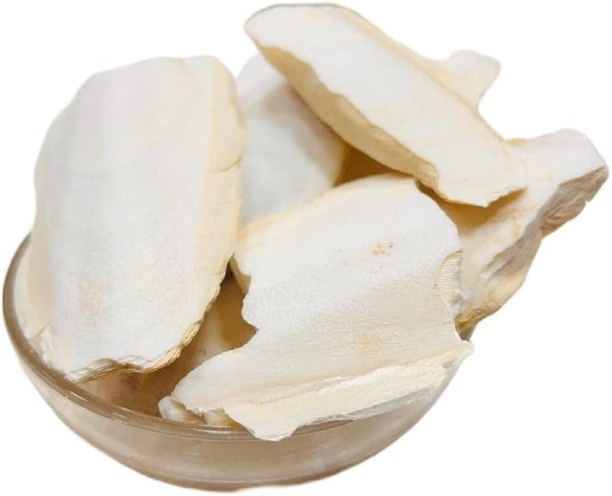 Samundar Jhaag – Cuttlefish /سمندر جھاگ - Image 1