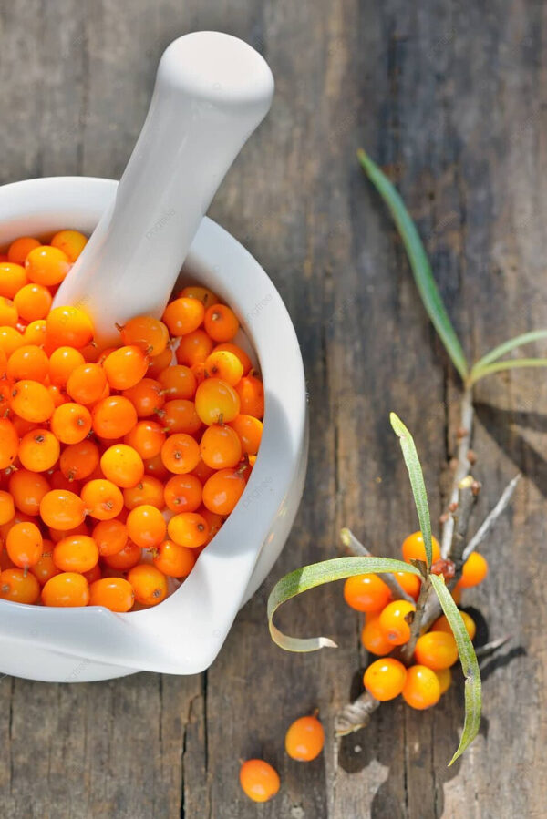 Sea Buckthorn Powder