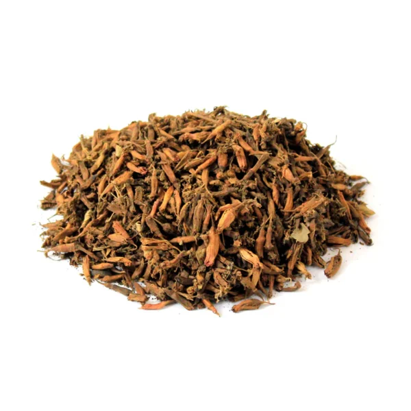 Zoofa | Hyssopus officinalis | زوفا گل زوفہ