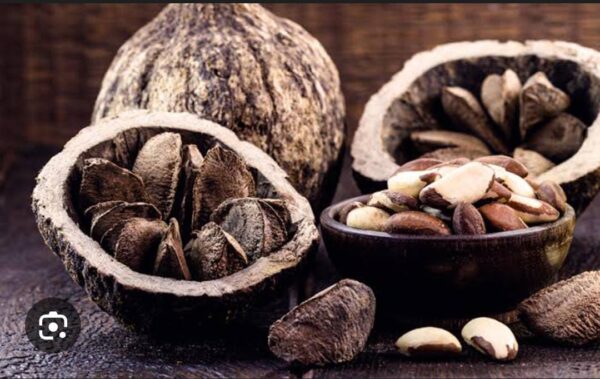 Brazil Nuts | In shell |